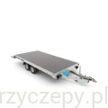 163481e09298f8.webp
